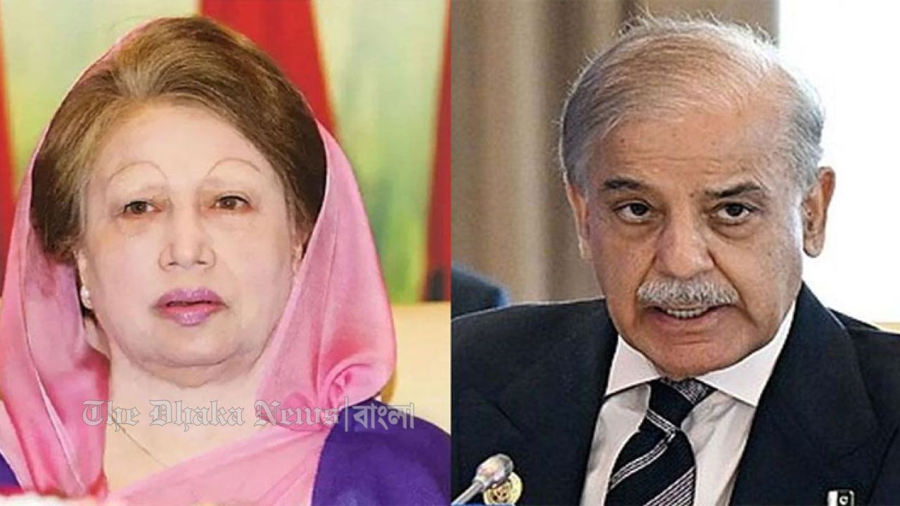 সংখ্যালঘুরা জুলুমের শিকার হলে পাশে থাকবে এনসিপি: সারজিস