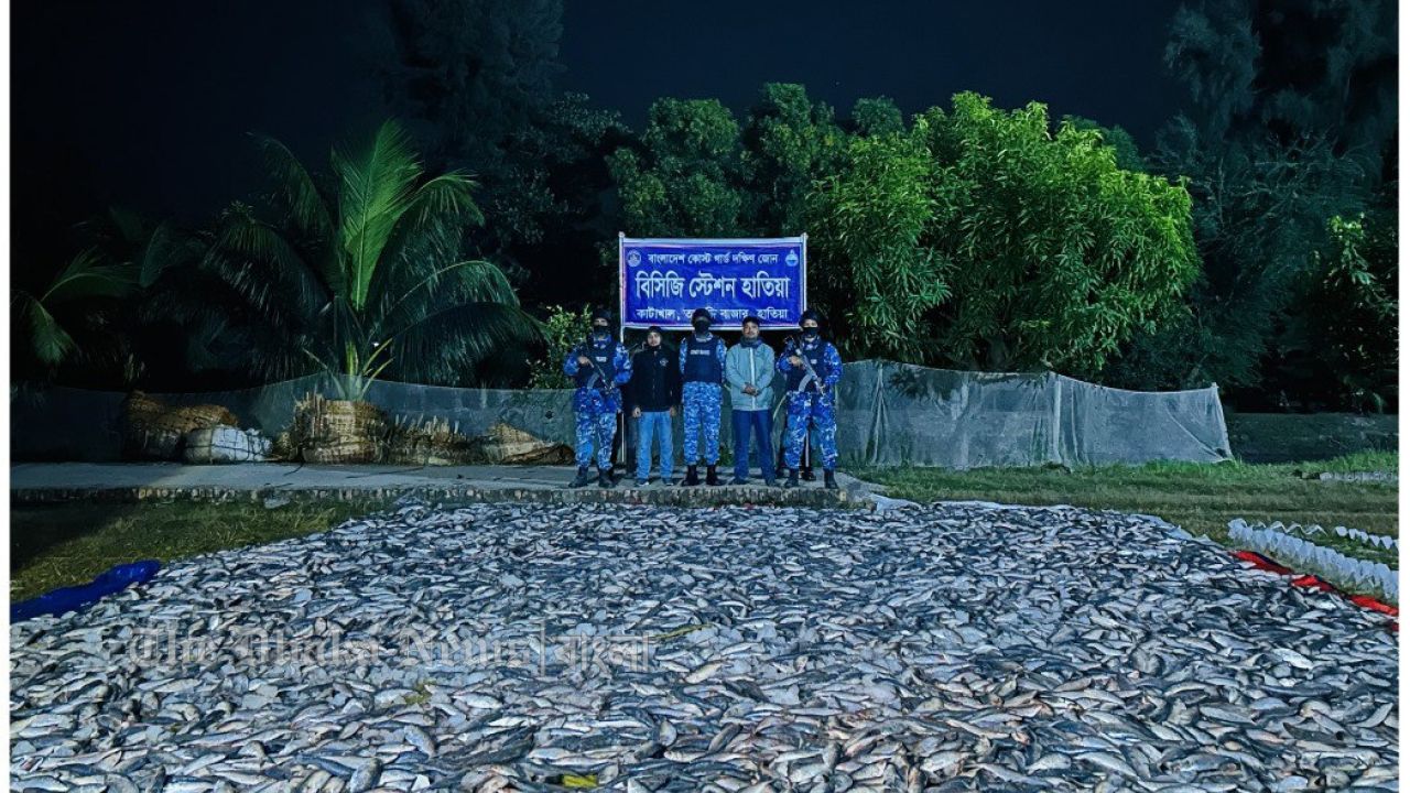 হাতিয়া ও কলাপাড়ায় কোস্ট গার্ডের পৃথক দুই অভিযানে ৬ হাজার ২০০ কেজি জাটকা জব্দ