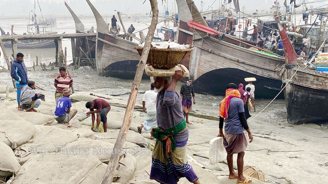 শীতের শুরুতেই সমুদ্রে মাছের সংকট নোয়াখালীতে হতাশায় জেলে ও ব্যবসায়ীরা