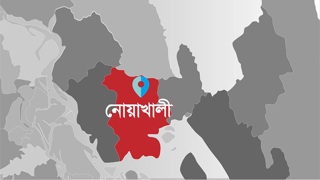 নোয়াখালীর ৫ আসনে ধানের শীষের জয়, একটিতে এনসিপি বিজয়ী