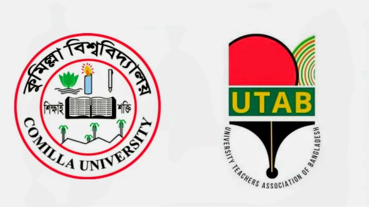 হারিয়ে যাওয়া কারিগর: বাবুই পাখির শৈল্পিক বাসা এখন কেবল স্মৃতি