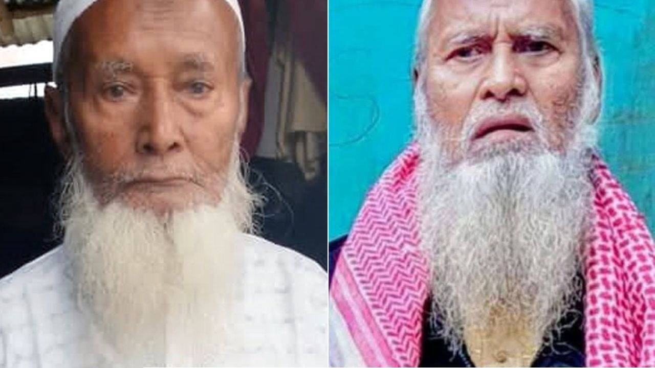 হারিয়ে যাওয়া কারিগর: বাবুই পাখির শৈল্পিক বাসা এখন কেবল স্মৃতি