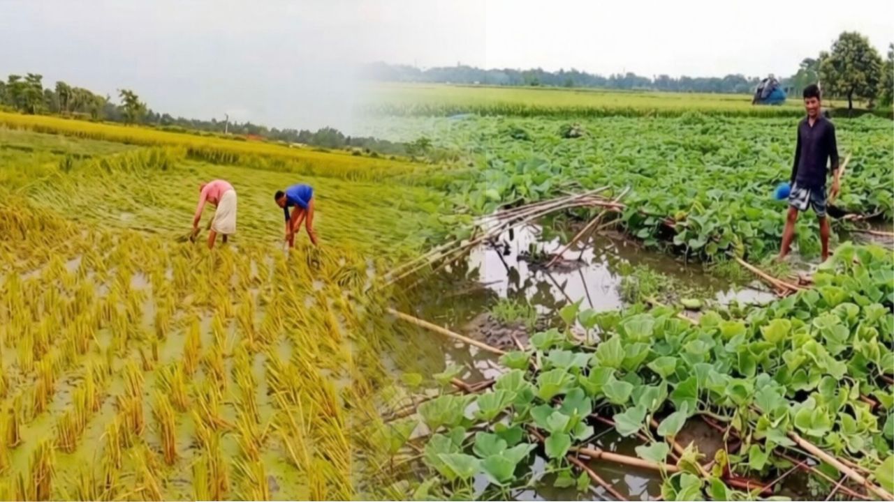 অবৈধ বাংলাদেশিদের সুখবর দিলো রোমানিয়া