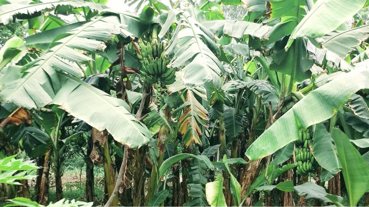 সফল রাষ্ট্রনায়ক হয়ে ওঠার অনন্য দৃষ্টান্ত হয়ে থাকবেন বেগম জিয়া: স্পিকার