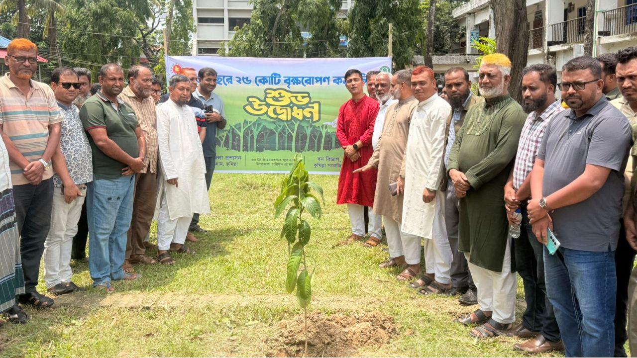 চৌদ্দগ্রামে বৃক্ষরোপন কর্মসূচির উদ্বোধন 