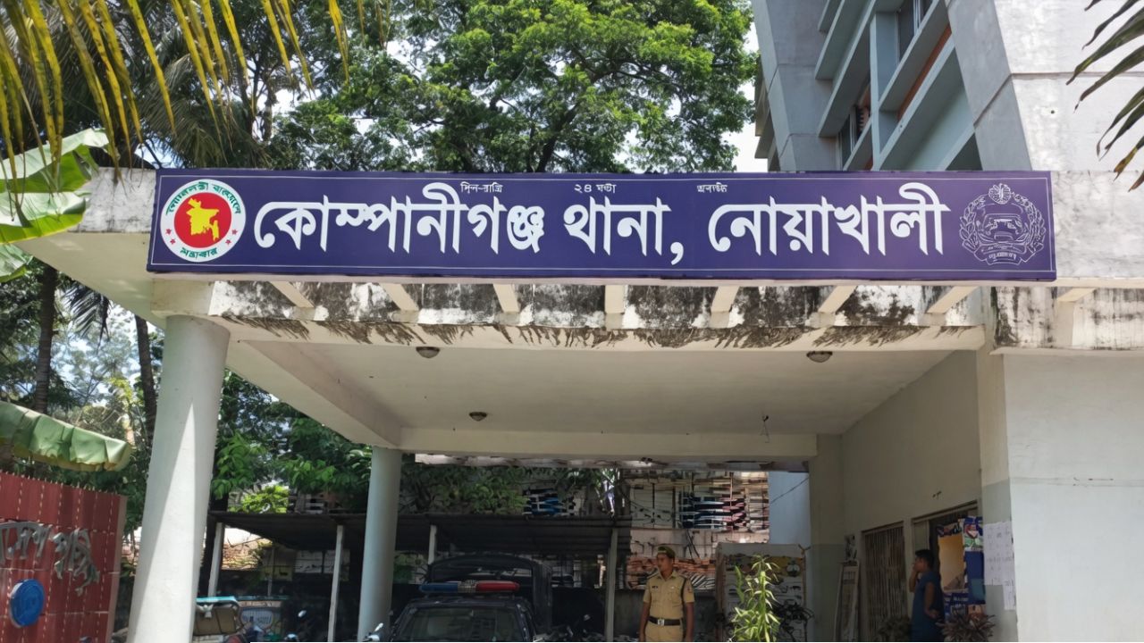 টিন কেটে ঘরে ঢুকে গৃহবধূকে ধর্ষণ, আটক-১