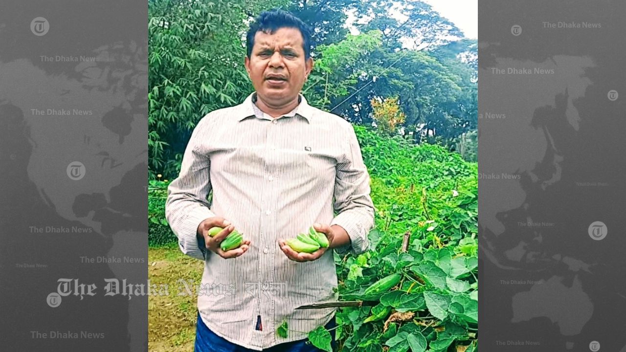 মাটি ও মানুষের গল্প: চান্দিনায় পটলের বাম্পার ফলনে কৃষক দম্পতির নতুন স্বপ্ন
