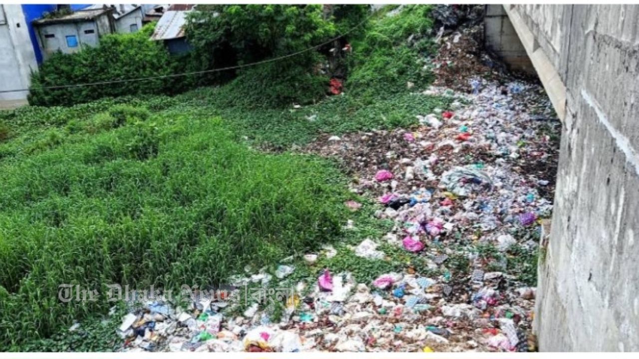 হারিয়ে যাচ্ছে কুমিল্লার কালাডুমুর নদী: অবহেলা আর দূষণে বিপন্ন কৃষি, প্রাণশক্তি ফেরাতে পুনঃখননের দাবি