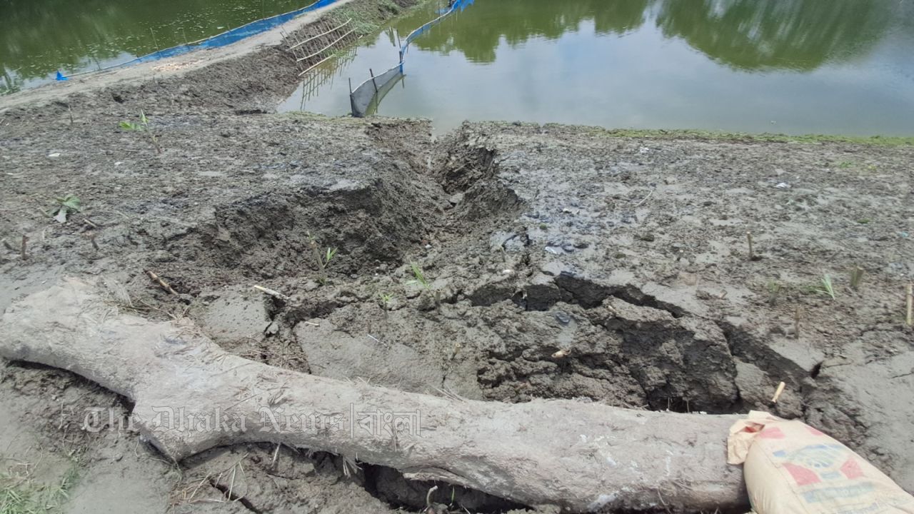 মেঘনা-ধনাগোদা সংস্কার কাজ শেষ না হতেই ধসে পড়ছে মাটি