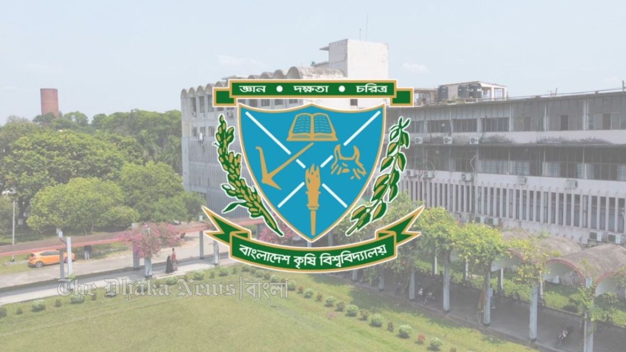 ইউক্রেনের ড্রোন হামলায় রাশিয়ায় নিহত ৬