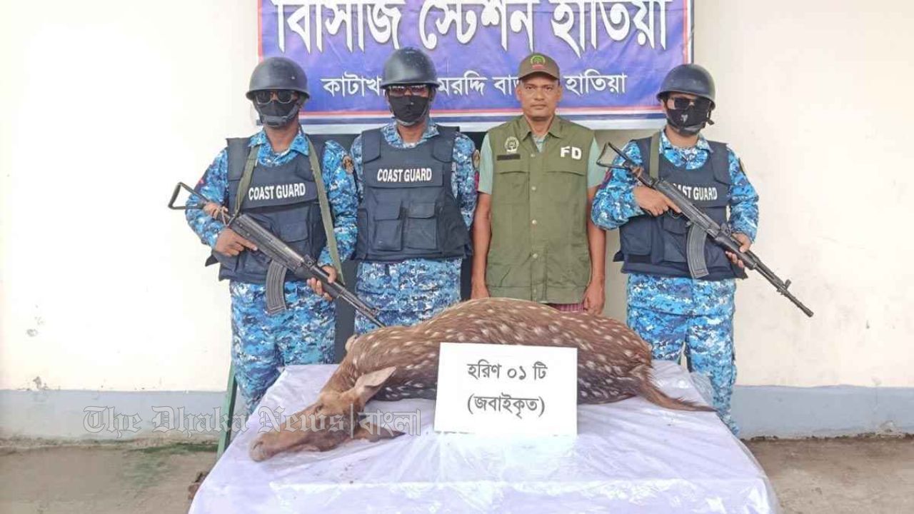 নোয়াখালীতে জবাইকৃত হরিণ উদ্ধার, আদালতের নির্দেশে মাটিচাপা