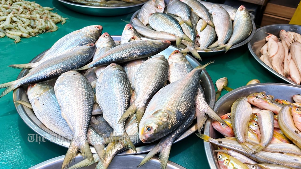 নোয়াখালীতে ভরা মৌসুমেও ইলিশের সংকট, চড়া দামে বিক্রি