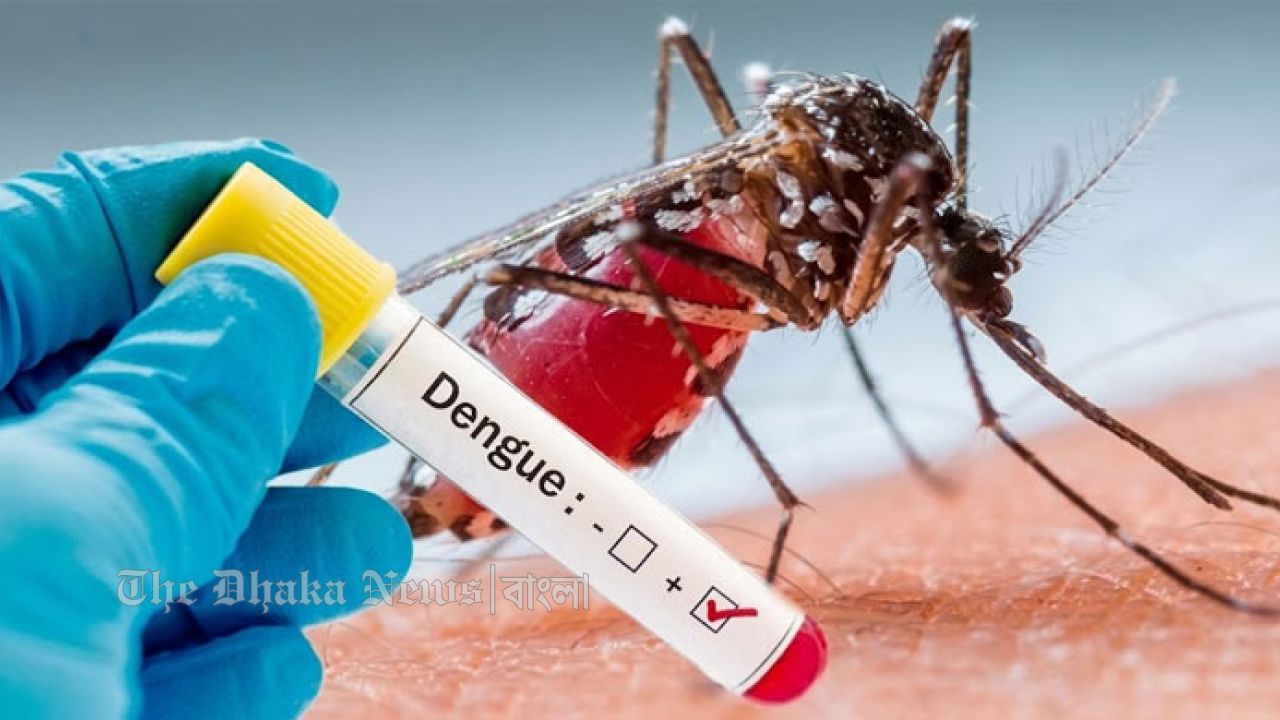 ডেঙ্গুতে ২৪ ঘণ্টায় ৭ মৃত্যু, হাসপাতালে ভর্তি ১,৭৫৩