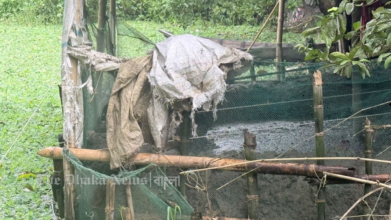 চাঁদপুরে পুকুর ভরাট করে খামারের বর্জ্য ফেলায় ১ লাখ টাকা জরিমানা