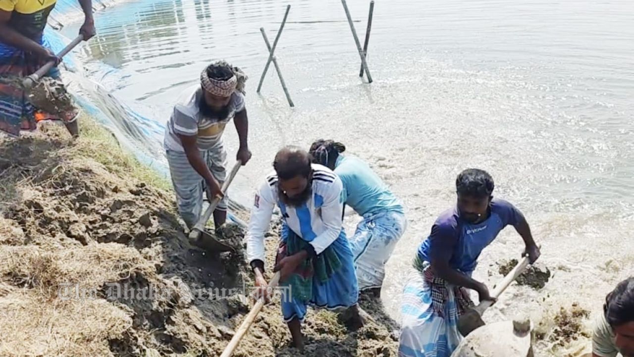 চাঁদপুরে ৪০০ একর কৃষিজমিতে ৪০টির বেশি ঝিল; উচ্ছেদ অভিযানে জব্দ ভেকু